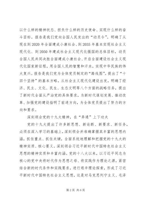 学习贯彻十九大精神重在学懂弄通做实.docx