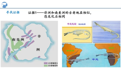 3.3海陆的变迁课件(共25张PPT)