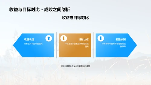 农业收益全面分析