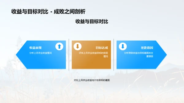农业收益全面分析