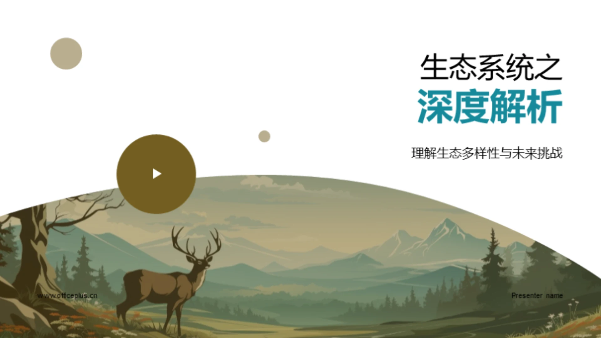 生态系统之深度解析