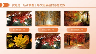 橙色简约风枫叶图文页
