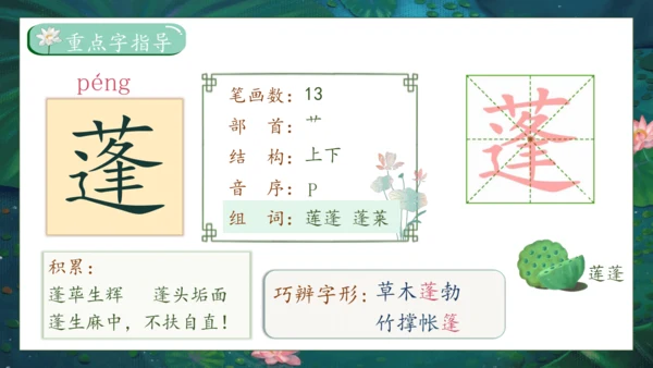 【核心素养】部编版语文三年级下册-3. 荷花 第1课时（课件）