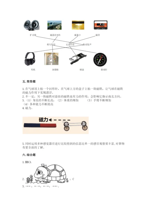 教科版小学科学二年级下册 期末测试卷附参考答案【典型题】.docx