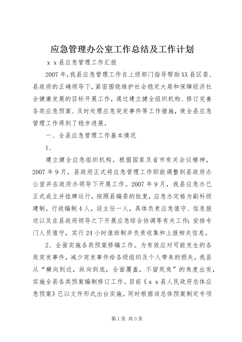 应急管理办公室工作总结及工作计划.docx