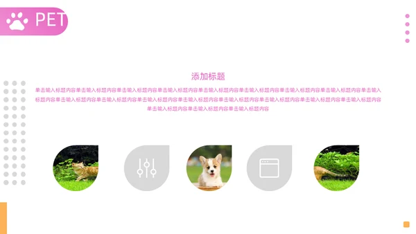 宠物店宠物品牌宣传通用PPT模板