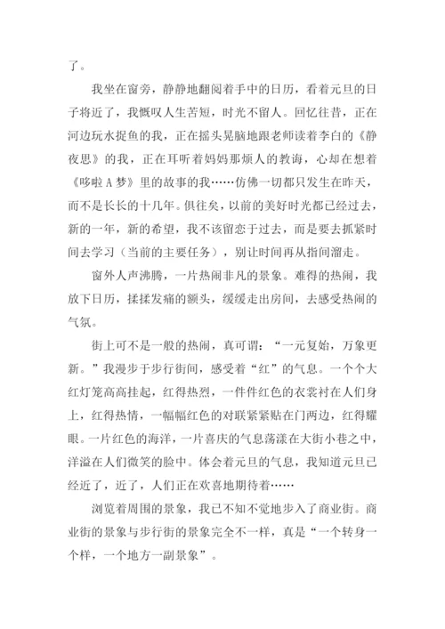 关于元旦节的作文.docx