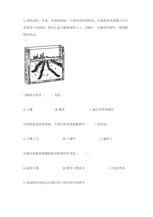 教科版科学二年级上册期末考试试卷带答案（最新）.docx