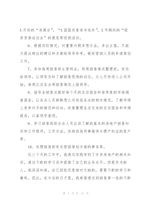 业务员个人转正工作总结5篇.docx