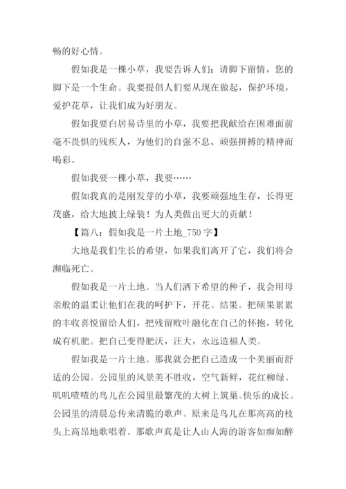 假如我是作文.docx