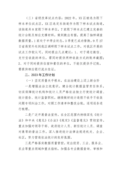 【工作总结】区统计局2022年统计工作总结及2023年工作计划.docx