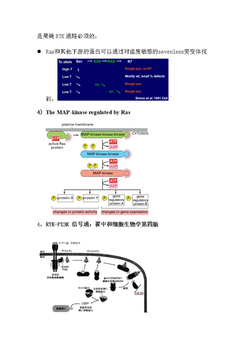 细胞生物学复习资料-General Mechanisms of Signal Transduction II