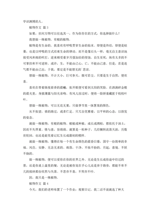 植物作文锦集五篇.docx