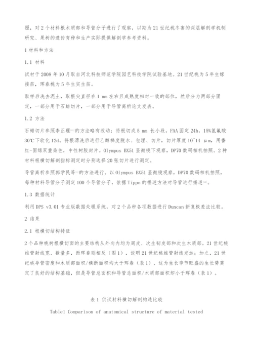 21世纪桃树根的解剖学特征-导管分子.docx