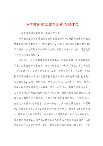 小学教师继续教育培训心得体会