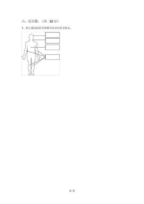 教科版小学二年级科学(上册)期中试卷及答案(真题)