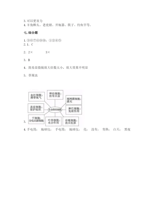 新教科版六年级上册科学期末考试试卷含答案【巩固】.docx