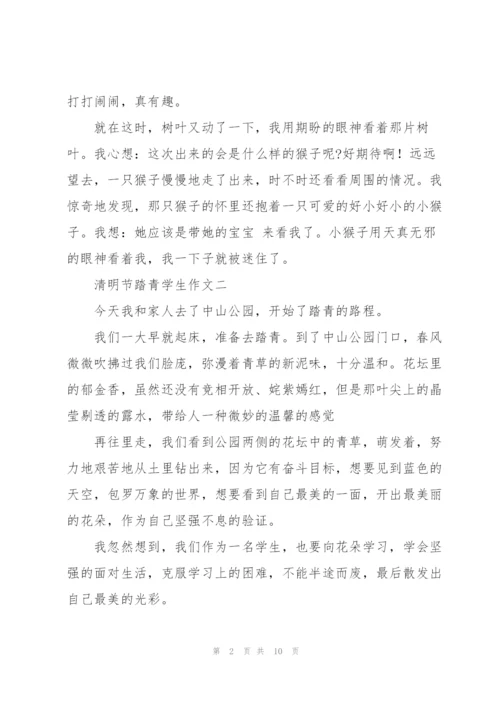 清明节踏青学生作文10篇.docx