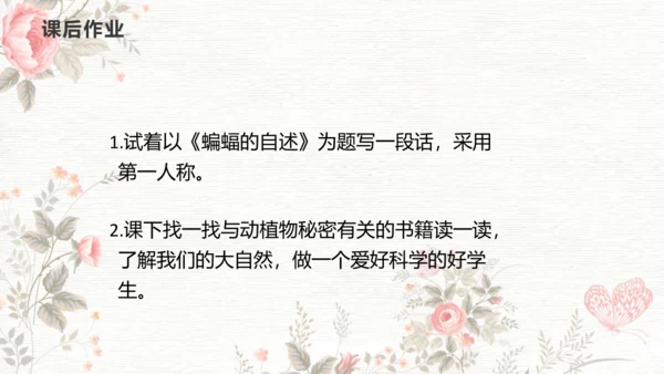 6夜间飞行的秘密  课件
