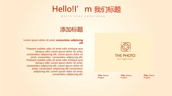 红色大气公安警察工作总结动态PPT