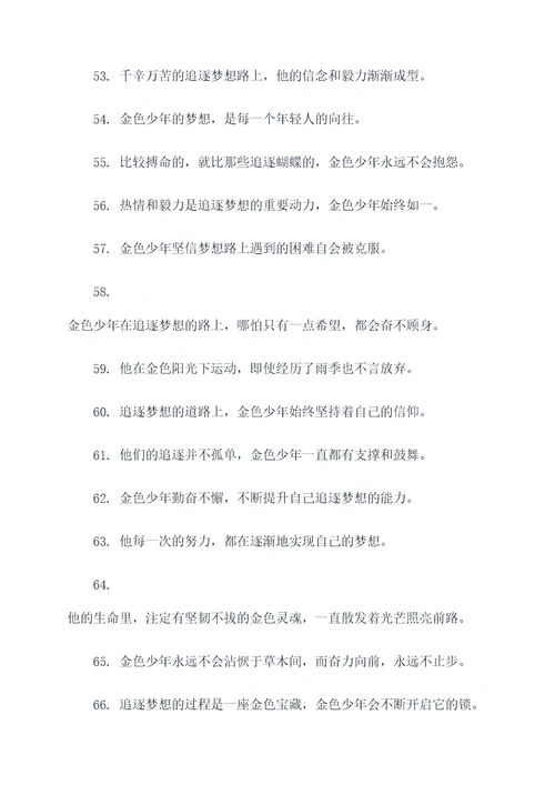 追逐金色的少年的好词好句