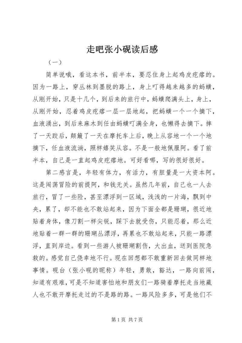 走吧张小砚读后感.docx