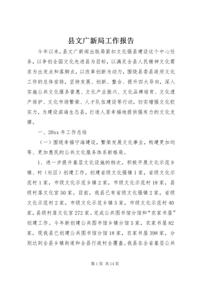 县文广新局工作报告 (3).docx