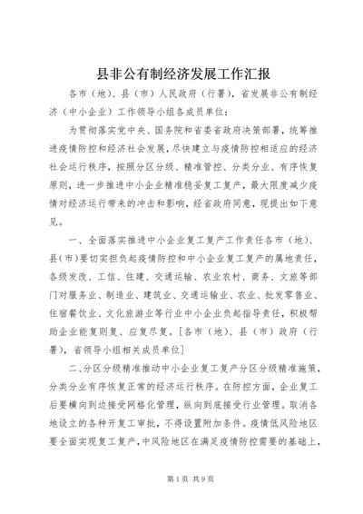 县非公有制经济发展工作汇报.docx