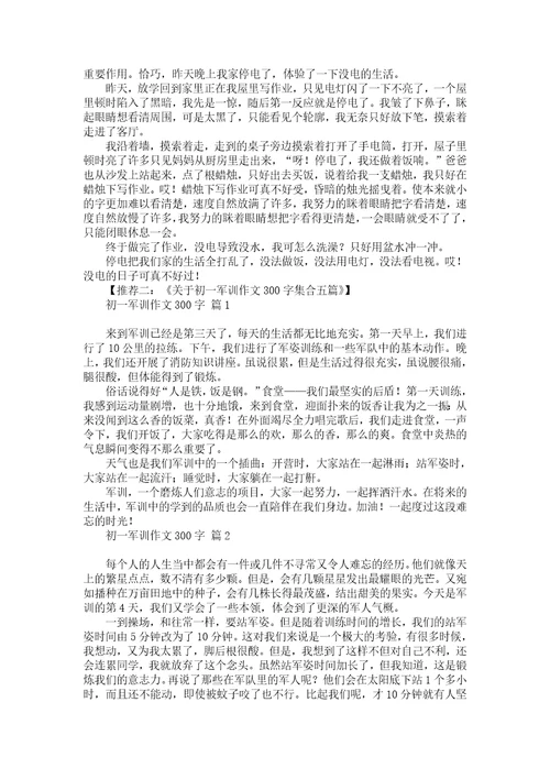 关于初一暑假作文300字汇总三篇