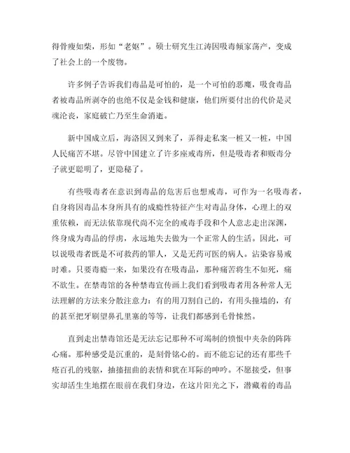 《禁毒教育宣传片》观后感