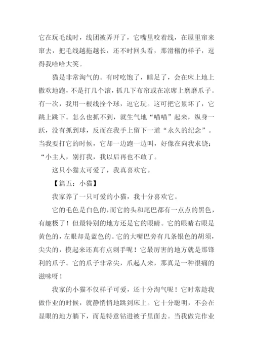 小猫的作文350字.docx