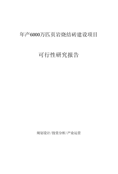 年产6000万匹页岩烧结砖建设项目可行性研究报告