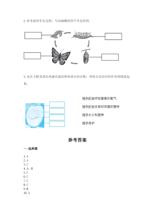 教科版小学科学三年级下册期末测试卷完美版.docx