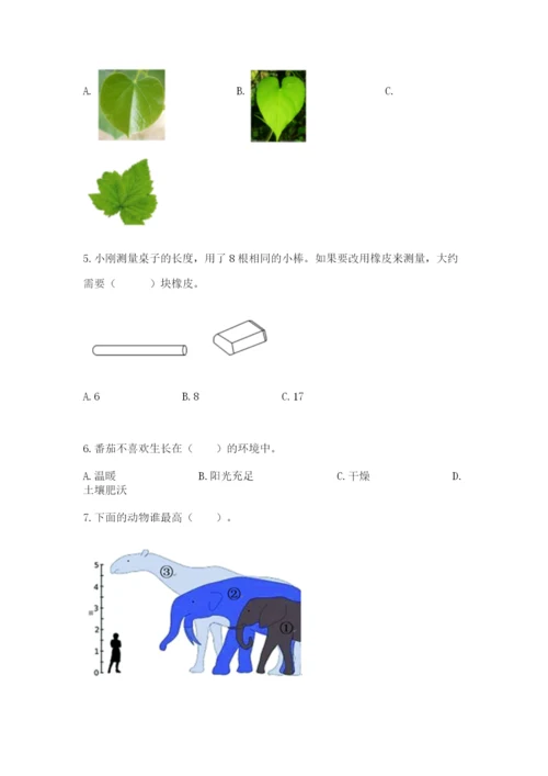 教科版一年级上册科学期末测试卷（b卷）.docx