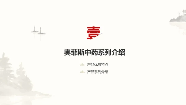 中国风中医药医疗保健产品介绍