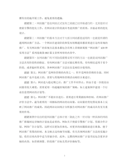 精编之网站推广计划书.docx