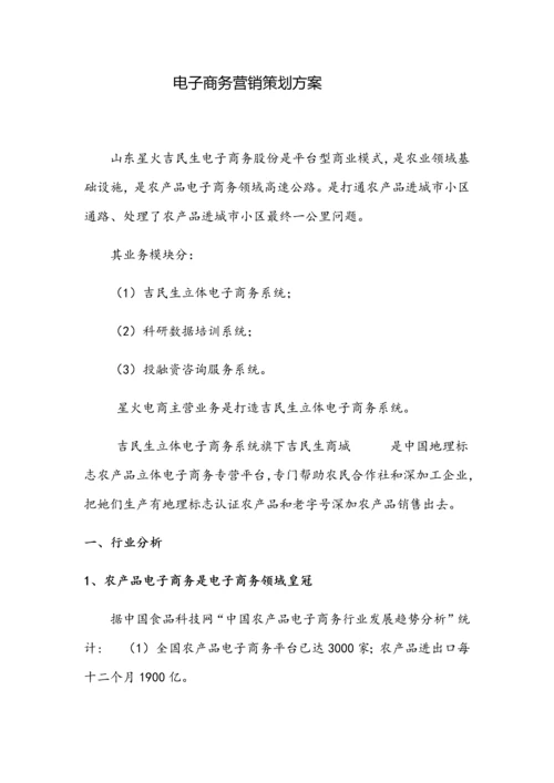 电子商务营销专项策划专业方案.docx