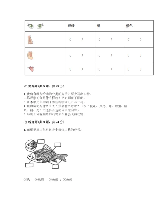 教科版小学科学一年级下册期末测试卷审定版.docx