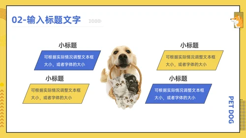 宠物医院宠物项目介绍狗狗秋田犬通用PPT模板