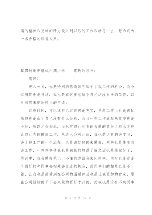 转正申请试用期小结七篇.docx