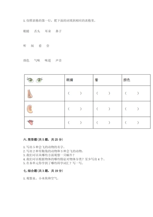 教科版一年级下册科学期末测试卷含完整答案（夺冠）.docx