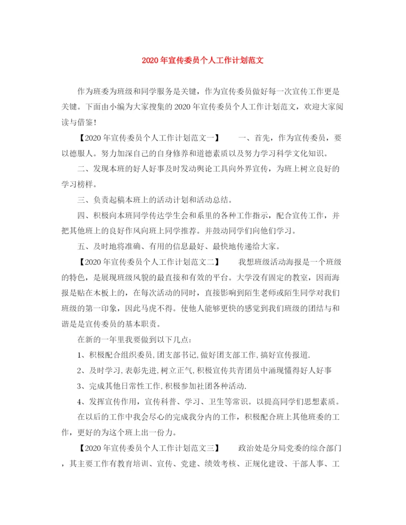精编之年宣传委员个人工作计划范文.docx