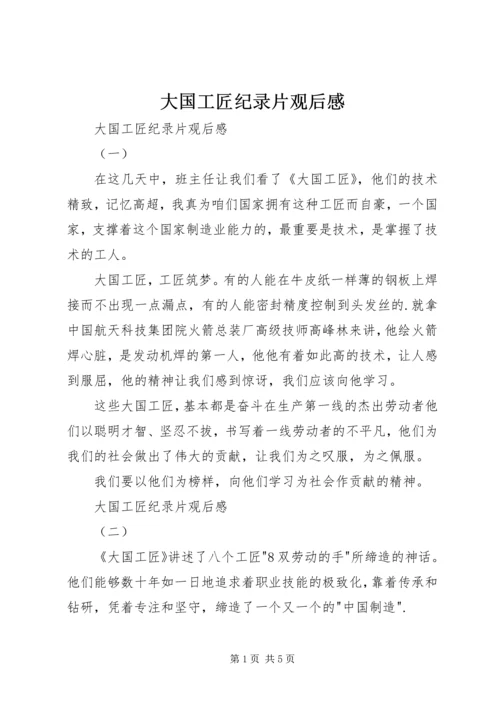 大国工匠纪录片观后感 (2).docx