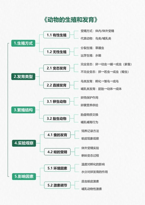 学习笔记-《动物的生殖和发育》绿色竖版word模板