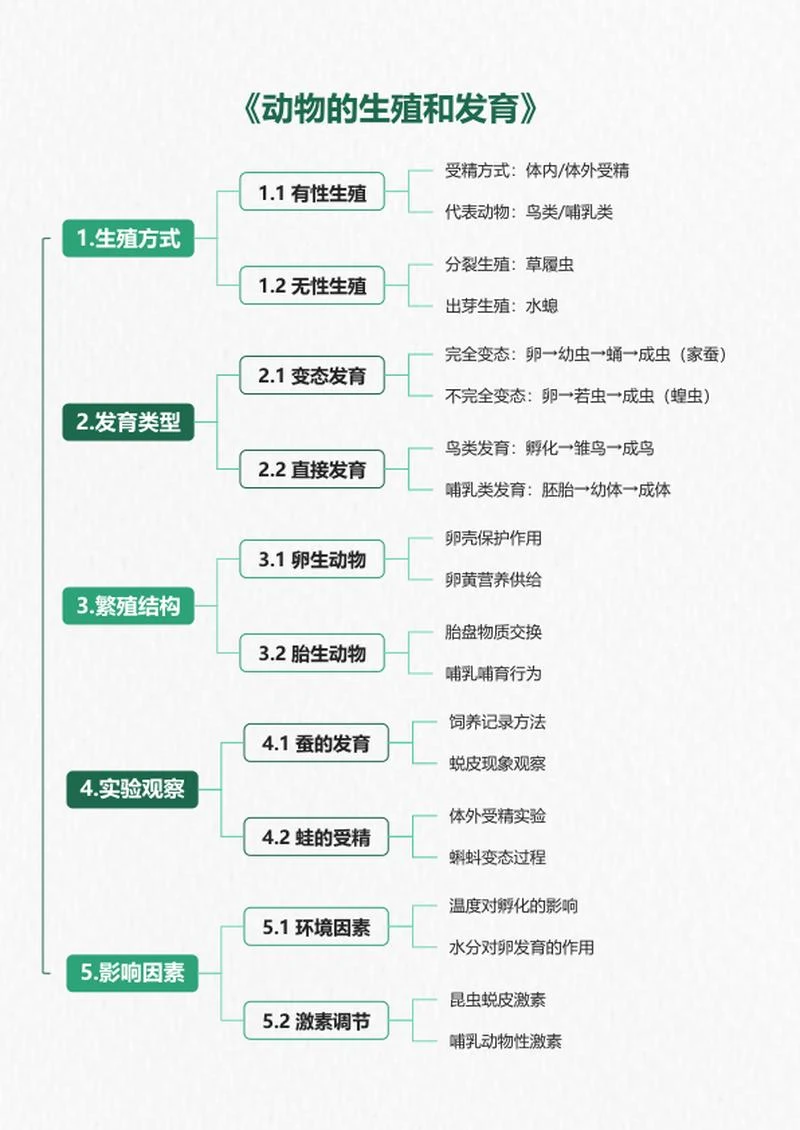 学习笔记-《动物的生殖和发育》绿色竖版word模板