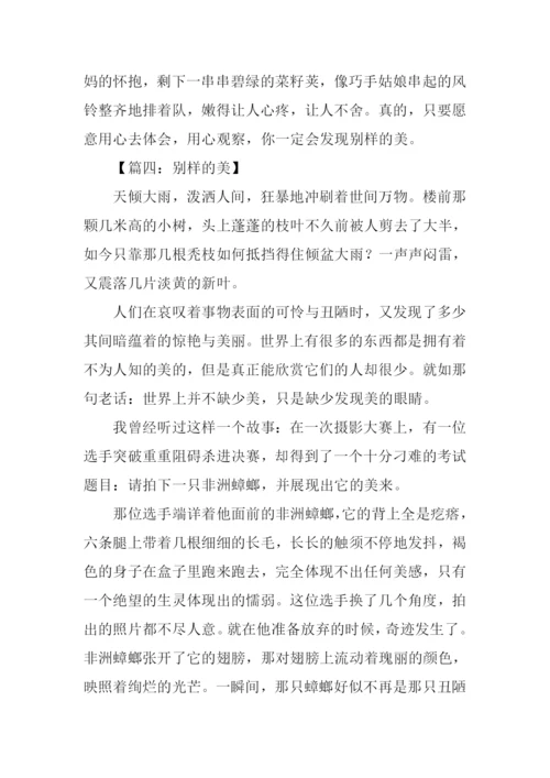 别样的美作文.docx