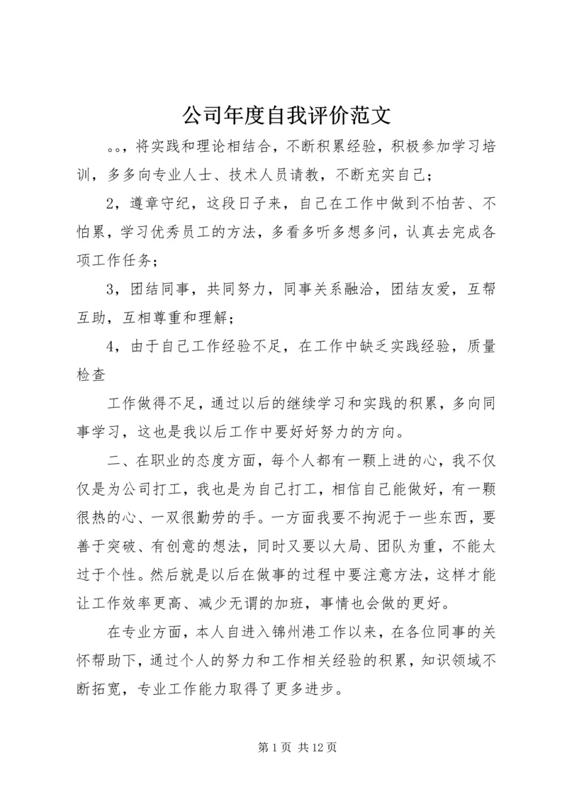 公司年度自我评价范文.docx