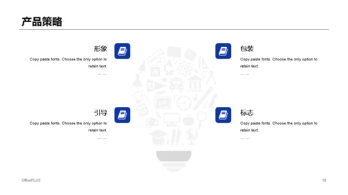 白色市场营销计划PPT案例