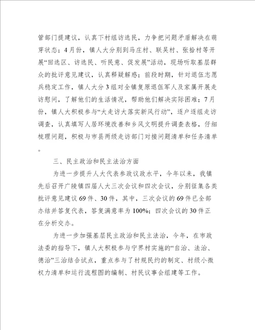 2022年乡镇人大代表上半年工作总结8篇
