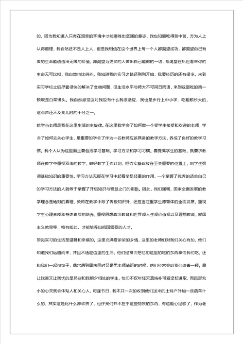 顶岗实习个人工作总结报告